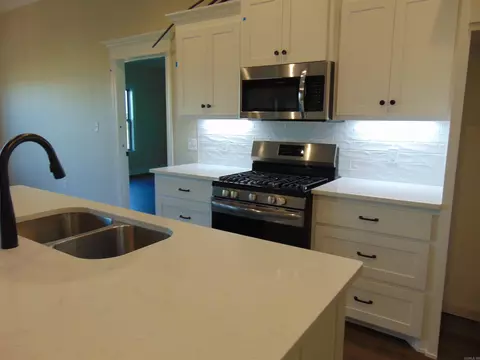 24 Rush Creek Dr, Vilonia, AR 72173 photo 6