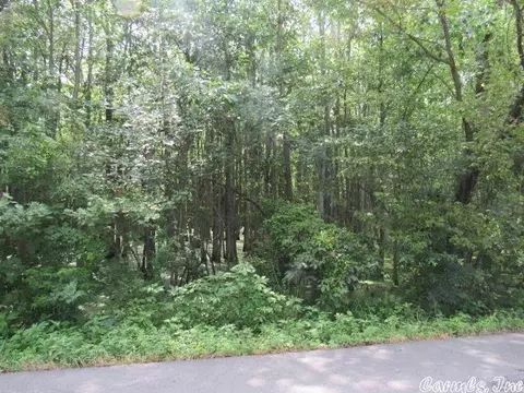 6101 S Kerr Rd, Scott, AR 72142 photo 44