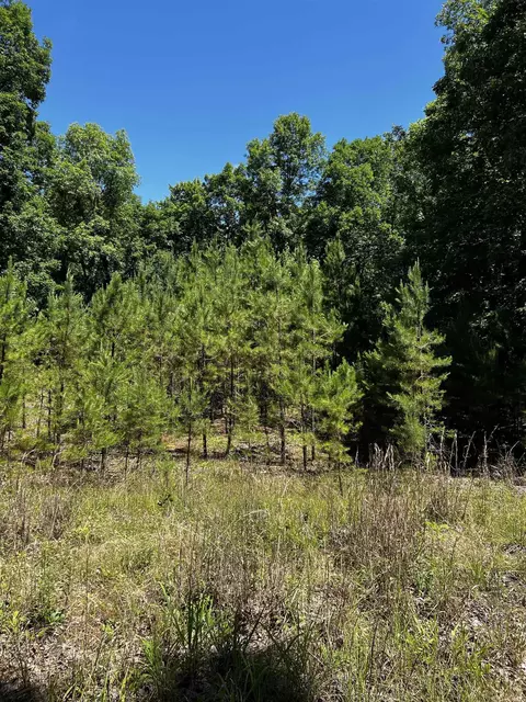17700 Harrell Rd, Bigelow, AR 72016 photo 3
