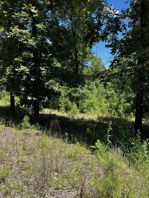 17700 Harrell Rd, Bigelow, AR 72016 photo 2