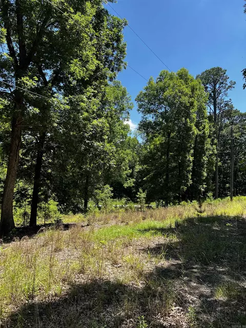 17700 Harrell Rd, Bigelow, AR 72016 photo 1