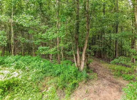 5538 Mount Tabor, Lonoke, AR 72086 photo 6
