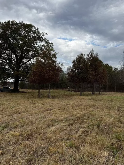 5538 Mount Tabor, Lonoke, AR 72086 photo 29