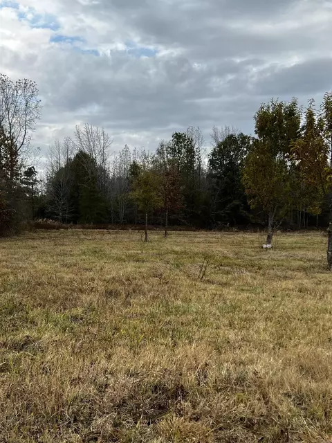 5538 Mount Tabor, Lonoke, AR 72086 photo 28