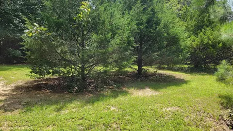 2113 Dean Martin Dr, Cabot, AR 72023 photo 45