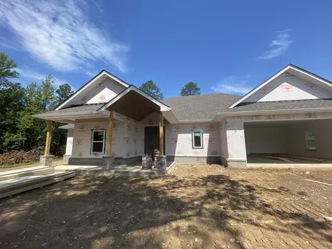 10543 Gunter Loop, Benton, AR 72019 photo 3
