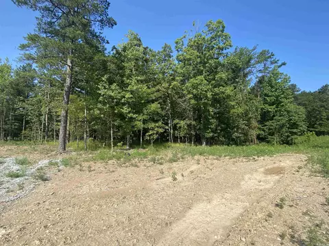10543 Gunter Loop, Benton, AR 72019 photo 27