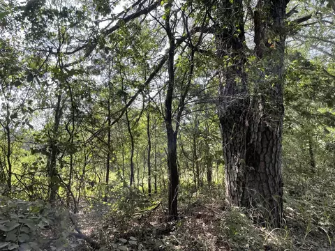 tbd Dooley Rd, Boles, AR 72926 photo 8