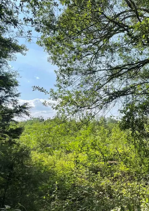 tbd Dooley Rd, Boles, AR 72926 photo 4