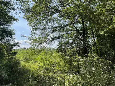 tbd Dooley Rd, Boles, AR 72926 photo 12