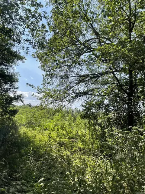 tbd Dooley Rd, Boles, AR 72926 photo 15