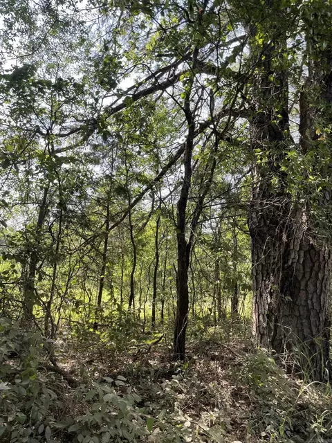 tbd Dooley Rd, Boles, AR 72926 photo 9