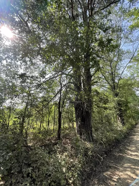 tbd Dooley Rd, Boles, AR 72926 photo 10
