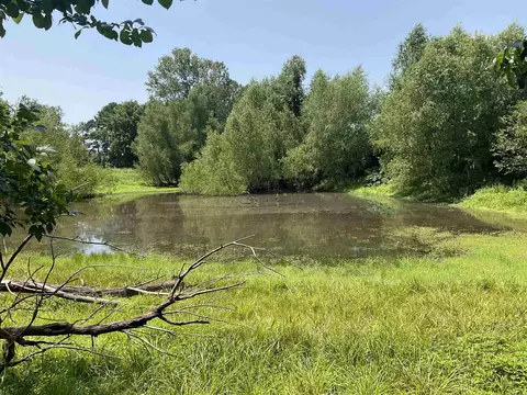 150 Central, Concord, AR 72523 photo 12