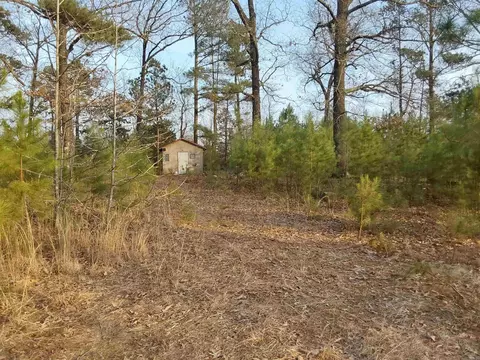 384 Bar 2 Rd, Kirby, AR 71950 photo 13