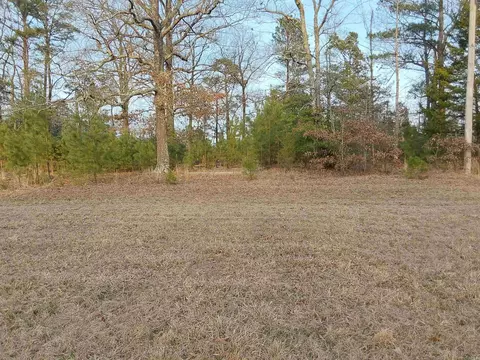 384 Bar 2 Rd, Kirby, AR 71950 photo 8