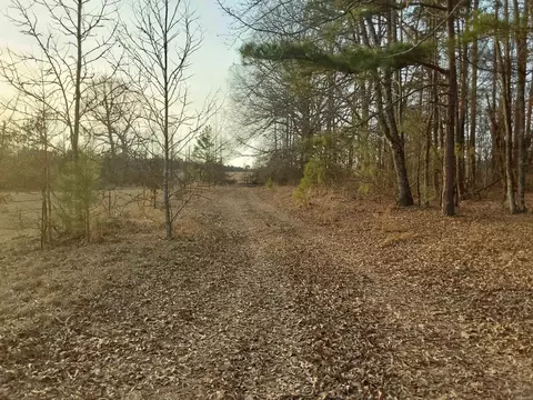 384 Bar 2 Rd, Kirby, AR 71950 photo 11