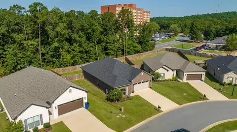 19 Hanna Loop, Maumelle, AR 72113 photo 50