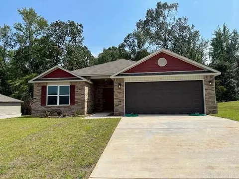 51 Dunnaway Dr, Austin, AR 72007 photo 1