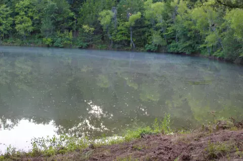 21287 Weeks Rd, Waldron, AR 72958 photo 39