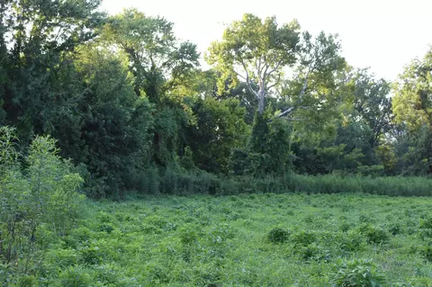 21287 Weeks Rd, Waldron, AR 72958 photo 18