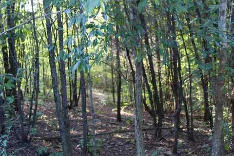 21287 Weeks Rd, Waldron, AR 72958 photo 29
