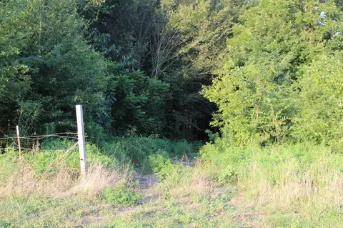 21287 Weeks Rd, Waldron, AR 72958 photo 23