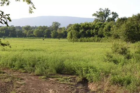 21287 Weeks Rd, Waldron, AR 72958 photo 20