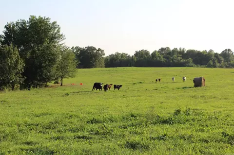 21287 Weeks Rd, Waldron, AR 72958 photo 11