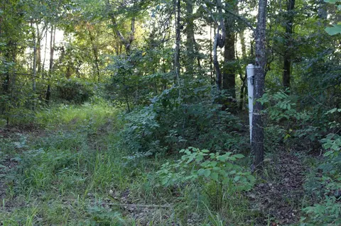 21287 Weeks Rd, Waldron, AR 72958 photo 41
