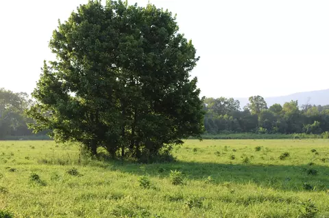21287 Weeks Rd, Waldron, AR 72958 photo 16
