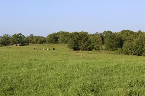 21287 Weeks Rd, Waldron, AR 72958 photo 12