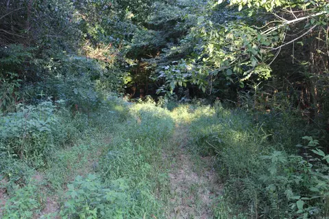 21287 Weeks Rd, Waldron, AR 72958 photo 25