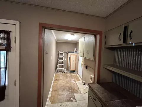 306 E Hamilton Dr, Griffithville, AR 72060 photo 12