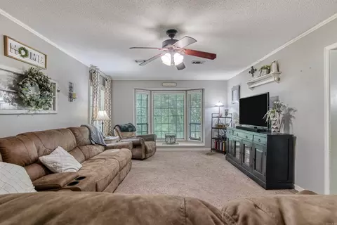 96 Mountain Dr, Greenbrier, AR 72058 photo 11