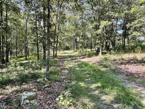 849 Alan Rd, Jerusalem, AR 72080 photo 16