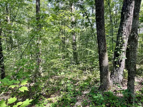 849 Alan Rd, Jerusalem, AR 72080 photo 36