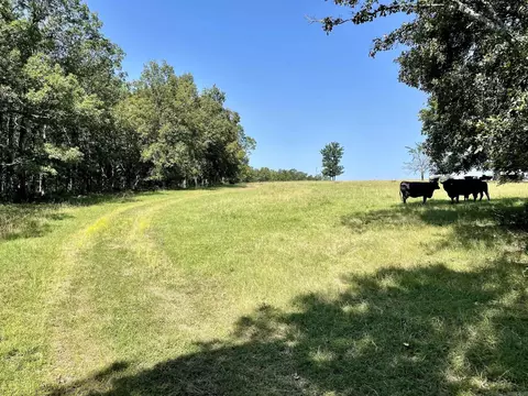 849 Alan Rd, Jerusalem, AR 72080 photo 17