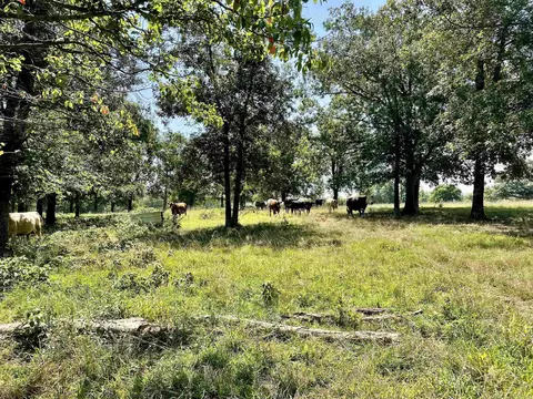 849 Alan Rd, Jerusalem, AR 72080 photo 30