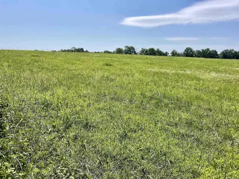 849 Alan Rd, Jerusalem, AR 72080 photo 32