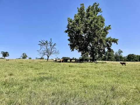 849 Alan Rd, Jerusalem, AR 72080 photo 18