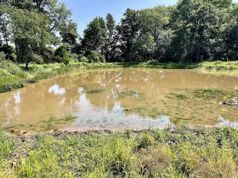 849 Alan Rd, Jerusalem, AR 72080 photo 31