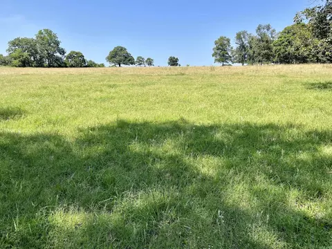 849 Alan Rd, Jerusalem, AR 72080 photo 27