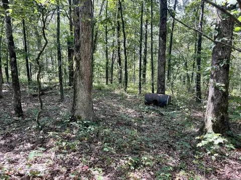 849 Alan Rd, Jerusalem, AR 72080 photo 37