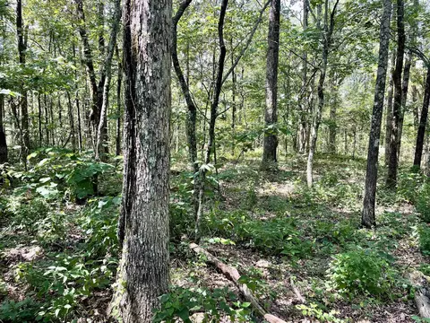 849 Alan Rd, Jerusalem, AR 72080 photo 35