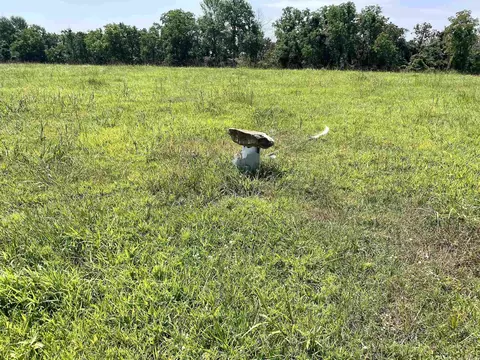 849 Alan Rd, Jerusalem, AR 72080 photo 33