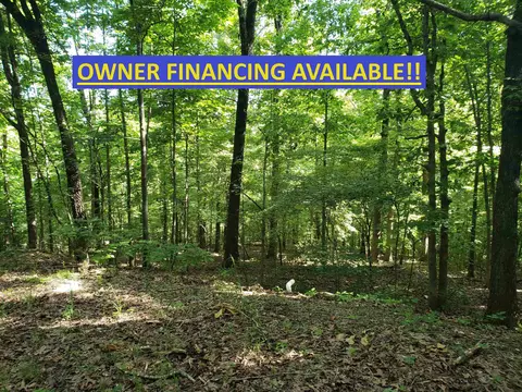 L-8, Cherokee Village, AR 72529