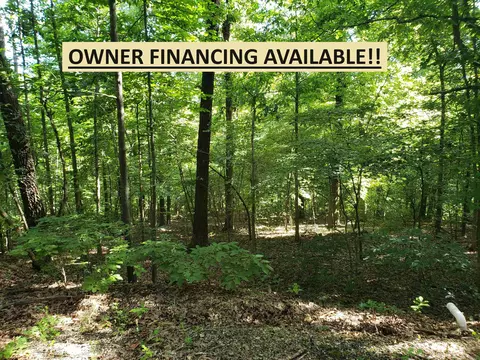 1 Arivaipa Drive # l, Cherokee Village, AR 72529