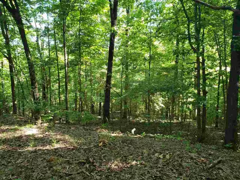L-11, Cherokee Village, AR 72529