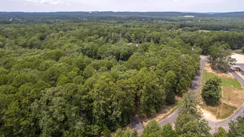 409 Ballpark, Mount Ida, AR 71957 photo 44